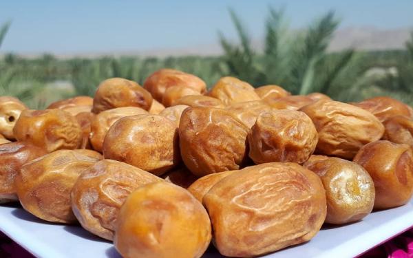 کالری خرمای خشک